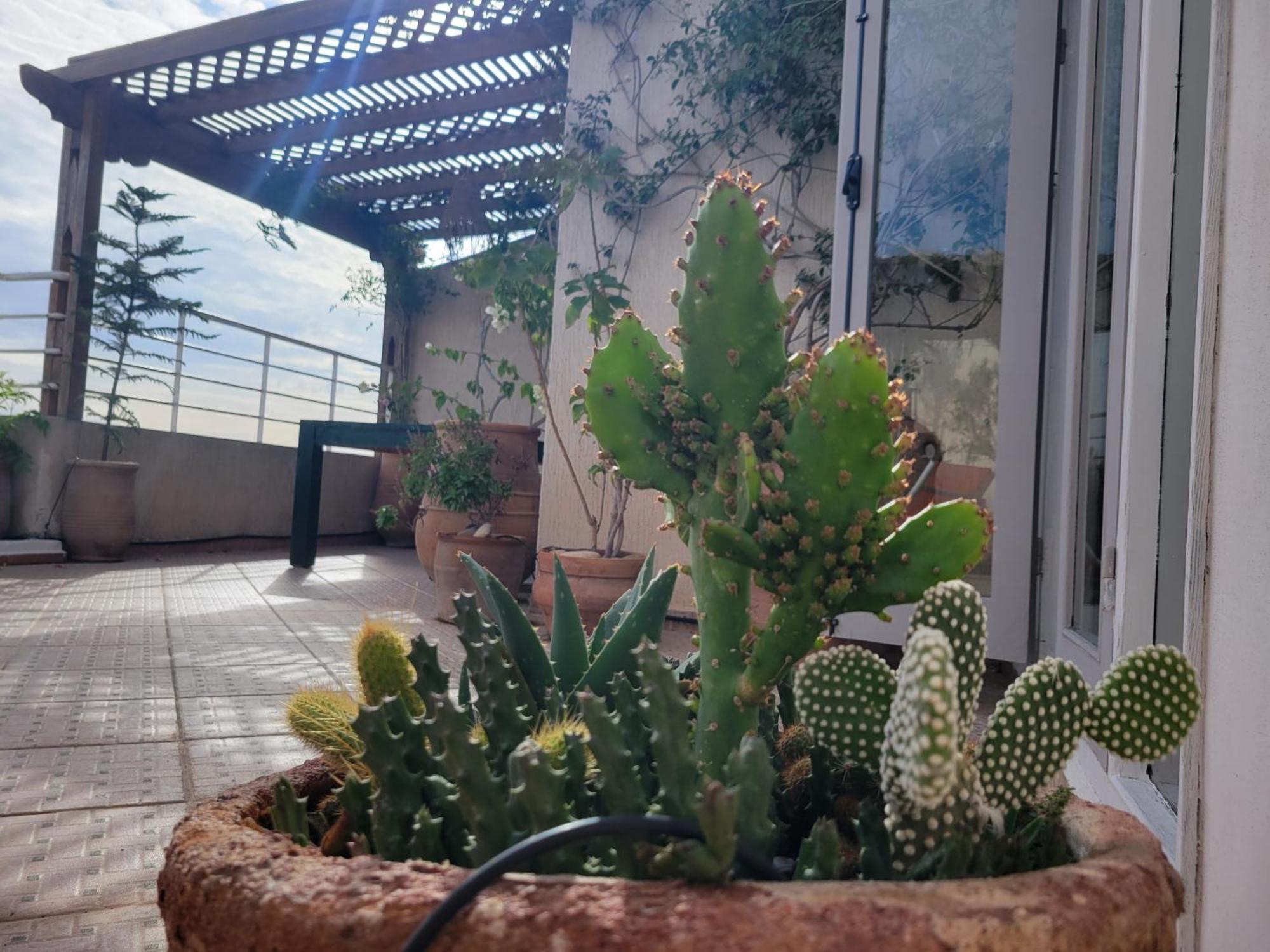 Las Terrazas Mogador Essaouira Exteriör bild